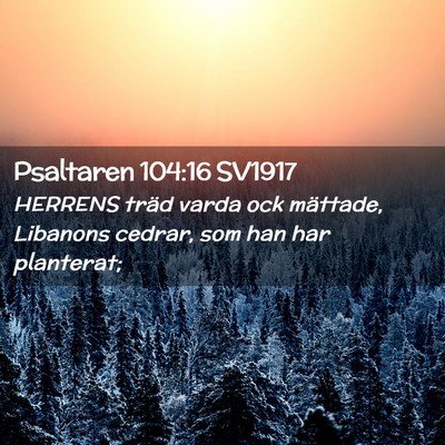 Picture 02 - Psaltaren 104:16 SV1917 - HERRENS träd varda ock mättade, Libanons - Bible Verse Picture
