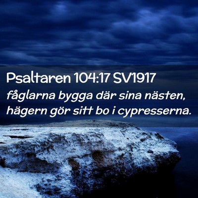 Picture 02 - Psaltaren 104:17 SV1917 - fåglarna bygga där sina nästen, hägern gör - Bible Verse Picture
