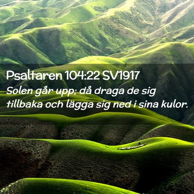 Picture 02 - Psaltaren 104:22 SV1917 - Solen går upp; då draga de sig tillbaka och - Bible Verse Picture