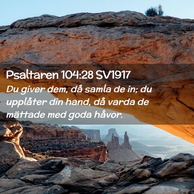 Picture 02 - Psaltaren 104:28 SV1917 - Du giver dem, då samla de in; du upplåter din - Bible Verse Picture
