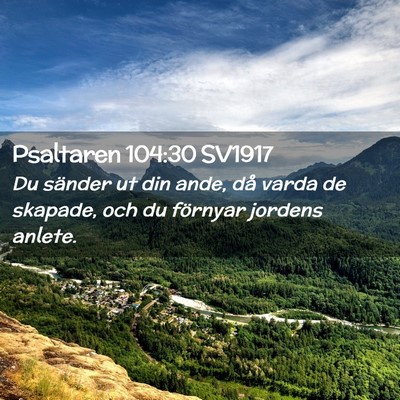 Picture 02 - Psaltaren 104:30 SV1917 - Du sänder ut din ande, då varda de skapade, och - Bible Verse Picture
