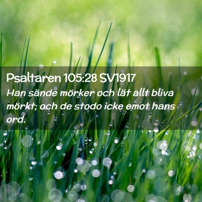 Picture 02 - Psaltaren 105:28 SV1917 - Han sände mörker och lät allt bliva mörkt; - Bible Verse Picture