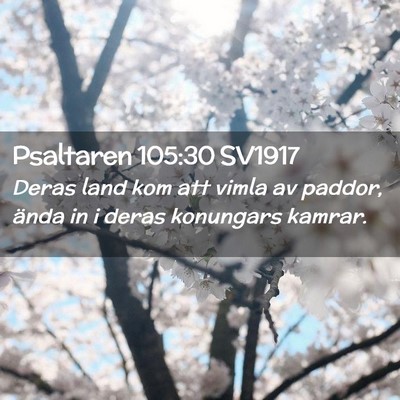 Picture 02 - Psaltaren 105:30 SV1917 - Deras land kom att vimla av paddor, ända in i - Bible Verse Picture
