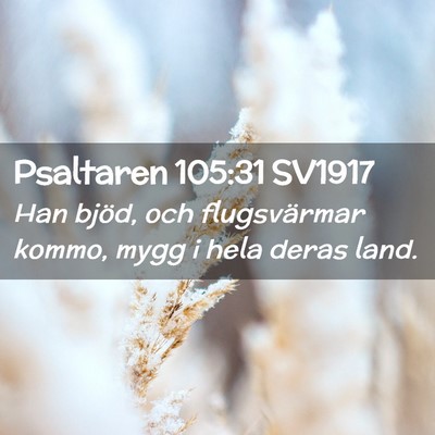 Picture 02 - Psaltaren 105:31 SV1917 - Han bjöd, och flugsvärmar kommo, mygg i hela - Bible Verse Picture