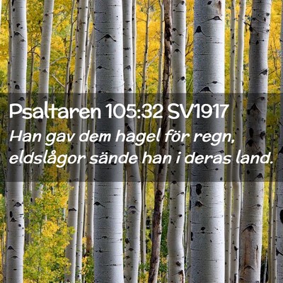 Picture 02 - Psaltaren 105:32 SV1917 - Han gav dem hagel för regn, eldslågor sände - Bible Verse Picture
