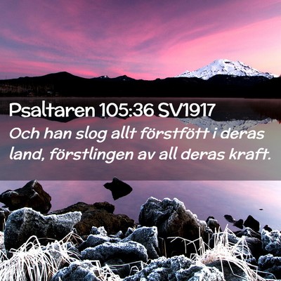 Picture 02 - Psaltaren 105:36 SV1917 - Och han slog allt förstfött i deras land, - Bible Verse Picture