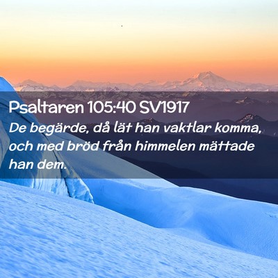 Picture 02 - Psaltaren 105:40 SV1917 - De begärde, då lät han vaktlar komma, och med - Bible Verse Picture