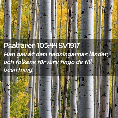 Picture 02 - Psaltaren 105:44 SV1917 - Han gav åt dem hedningarnas länder, och folkens - Bible Verse Picture