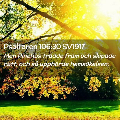 Picture 02 - Psaltaren 106:30 SV1917 - Men Pinehas trädde fram och skipade rätt, och - Bible Verse Picture