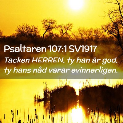 Picture 02 - Psaltaren 107:1 SV1917 - Tacken HERREN, ty han är god, ty hans nåd varar - Bible Verse Picture