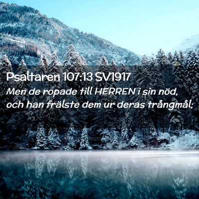 Picture 02 - Psaltaren 107:13 SV1917 - Men de ropade till HERREN i sin nöd, och han - Bible Verse Picture