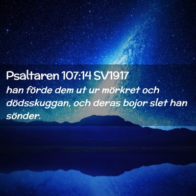 Picture 02 - Psaltaren 107:14 SV1917 - han förde dem ut ur mörkret och dödsskuggan, - Bible Verse Picture