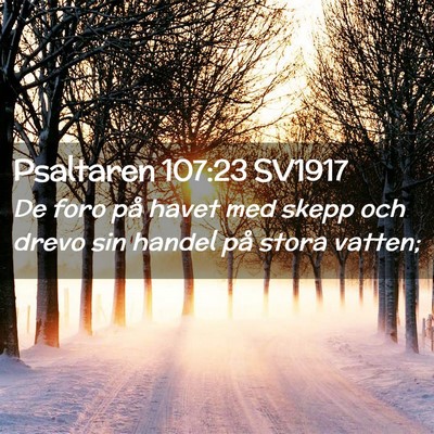 Picture 02 - Psaltaren 107:23 SV1917 - De foro på havet med skepp och drevo sin handel - Bible Verse Picture