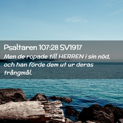Picture 02 - Psaltaren 107:28 SV1917 - Men de ropade till HERREN i sin nöd, och han - Bible Verse Picture