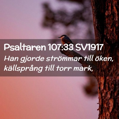 Picture 02 - Psaltaren 107:33 SV1917 - Han gjorde strömmar till öken, källsprång - Bible Verse Picture