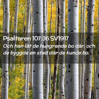 Picture 02 - Psaltaren 107:36 SV1917 - Och han lät de hungrande bo där, och de byggde - Bible Verse Picture
