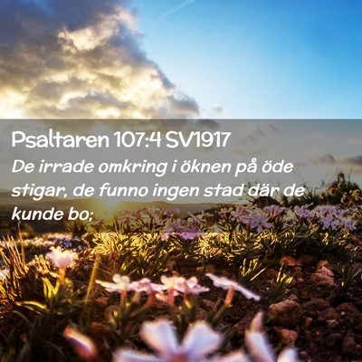 Picture 02 - Psaltaren 107:4 SV1917 - De irrade omkring i öknen på öde stigar, de - Bible Verse Picture