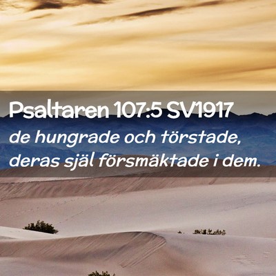 Picture 02 - Psaltaren 107:5 SV1917 - de hungrade och törstade, deras själ - Bible Verse Picture