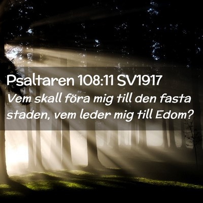 Picture 02 - Psaltaren 108:11 SV1917 - Vem skall föra mig till den fasta staden, vem - Bible Verse Picture