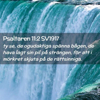 Picture 02 - Psaltaren 11:2 SV1917 - ty se, de ogudaktiga spänna bågen, de hava lagt - Bible Verse Picture