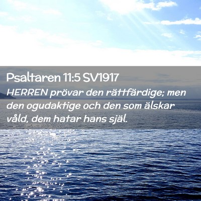 Picture 02 - Psaltaren 11:5 SV1917 - HERREN prövar den rättfärdige; men den - Bible Verse Picture