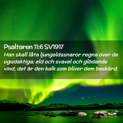 Picture 02 - Psaltaren 11:6 SV1917 - Han skall låta ljungeldssnaror regna över de - Bible Verse Picture