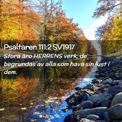 Picture 02 - Psaltaren 111:2 SV1917 - Stora äro HERRENS verk, de begrundas av alla som - Bible Verse Picture