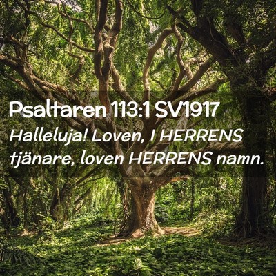 Picture 02 - Psaltaren 113:1 SV1917 - Halleluja! Loven, I HERRENS tjänare, loven - Bible Verse Picture