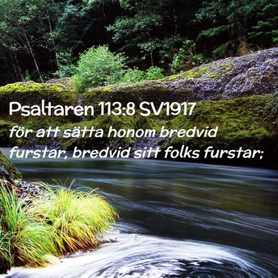 Picture 02 - Psaltaren 113:8 SV1917 - för att sätta honom bredvid furstar, bredvid - Bible Verse Picture