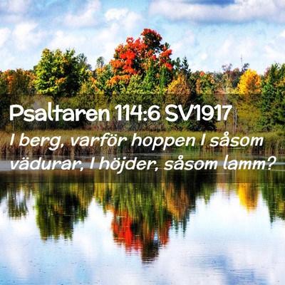 Picture 02 - Psaltaren 114:6 SV1917 - I berg, varför hoppen I såsom vädurar, I - Bible Verse Picture