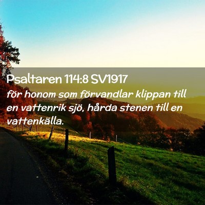 Picture 02 - Psaltaren 114:8 SV1917 - för honom som förvandlar klippan till en - Bible Verse Picture