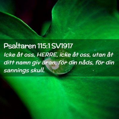 Picture 02 - Psaltaren 115:1 SV1917 - Icke åt oss, HERRE, icke åt oss, utan åt ditt - Bible Verse Picture