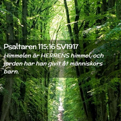 Picture 02 - Psaltaren 115:16 SV1917 - Himmelen är HERRENS himmel, och jorden har han - Bible Verse Picture