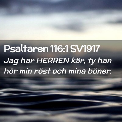 Picture 02 - Psaltaren 116:1 SV1917 - Jag har HERREN kär, ty han hör min röst och - Bible Verse Picture