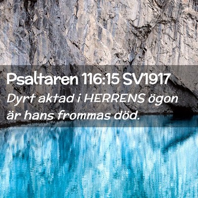 Picture 02 - Psaltaren 116:15 SV1917 - Dyrt aktad i HERRENS ögon är hans frommas - Bible Verse Picture
