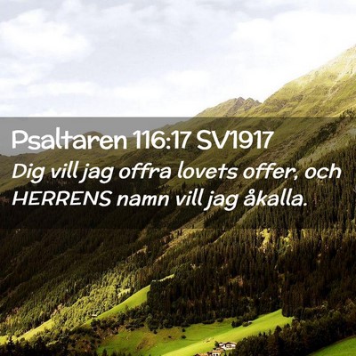 Picture 02 - Psaltaren 116:17 SV1917 - Dig vill jag offra lovets offer, och HERRENS namn - Bible Verse Picture