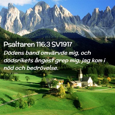 Picture 02 - Psaltaren 116:3 SV1917 - Dödens band omvärvde mig, och dödsrikets - Bible Verse Picture