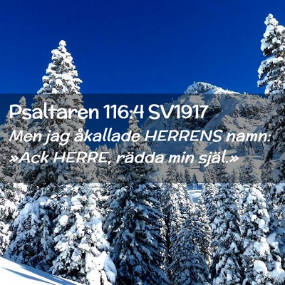 Picture 02 - Psaltaren 116:4 SV1917 - Men jag åkallade HERRENS namn: »Ack HERRE, - Bible Verse Picture