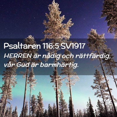 Picture 02 - Psaltaren 116:5 SV1917 - HERREN är nådig och rättfärdig, vår Gud är - Bible Verse Picture