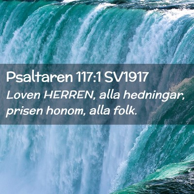 Picture 02 - Psaltaren 117:1 SV1917 - Loven HERREN, alla hedningar, prisen honom, alla - Bible Verse Picture