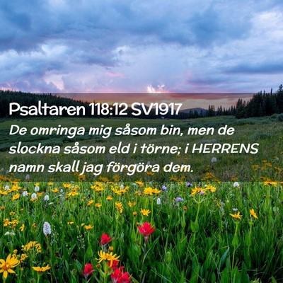 Picture 02 - Psaltaren 118:12 SV1917 - De omringa mig såsom bin, men de slockna såsom - Bible Verse Picture