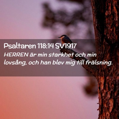 Picture 02 - Psaltaren 118:14 SV1917 - HERREN är min starkhet och min lovsång, och han - Bible Verse Picture