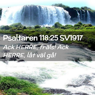 Picture 02 - Psaltaren 118:25 SV1917 - Ack HERRE, fräls! Ack HERRE, låt väl - Bible Verse Picture