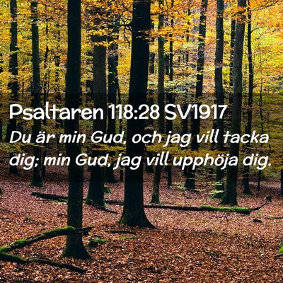 Picture 02 - Psaltaren 118:28 SV1917 - Du är min Gud, och jag vill tacka dig; min Gud, - Bible Verse Picture