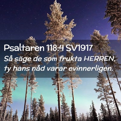 Picture 02 - Psaltaren 118:4 SV1917 - Så säge de som frukta HERREN, ty hans nåd - Bible Verse Picture