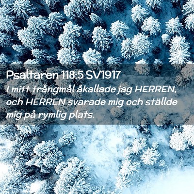 Picture 02 - Psaltaren 118:5 SV1917 - I mitt trångmål åkallade jag HERREN, och - Bible Verse Picture
