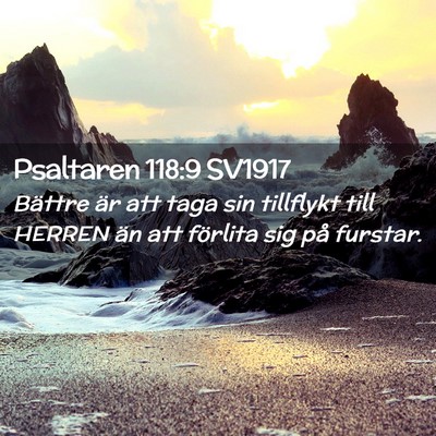 Picture 02 - Psaltaren 118:9 SV1917 - Bättre är att taga sin tillflykt till HERREN - Bible Verse Picture