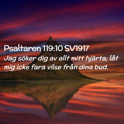 Picture 02 - Psaltaren 119:10 SV1917 - Jag söker dig av allt mitt hjärta; låt mig - Bible Verse Picture