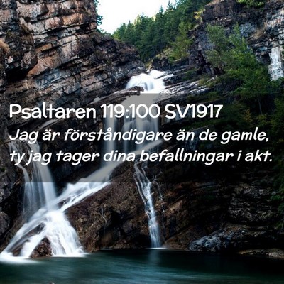 Picture 02 - Psaltaren 119:100 SV1917 - Jag är förståndigare än de gamle, ty jag - Bible Verse Picture