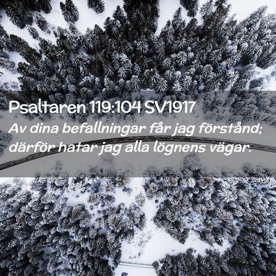 Picture 02 - Psaltaren 119:104 SV1917 - Av dina befallningar får jag förstånd; - Bible Verse Picture